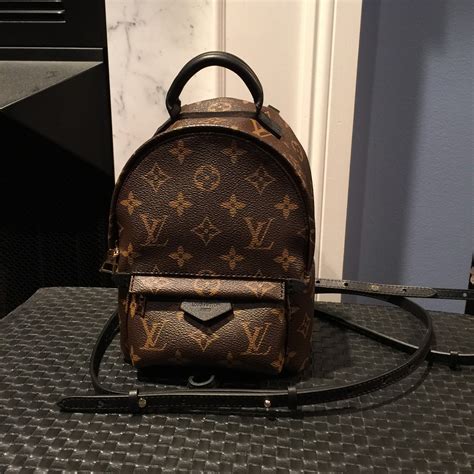 mini palm spring backpack lv|palm springs backpack pm price.